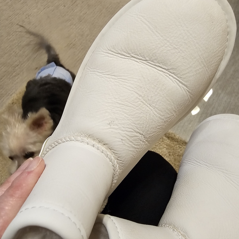 Ugg Boots - image 13